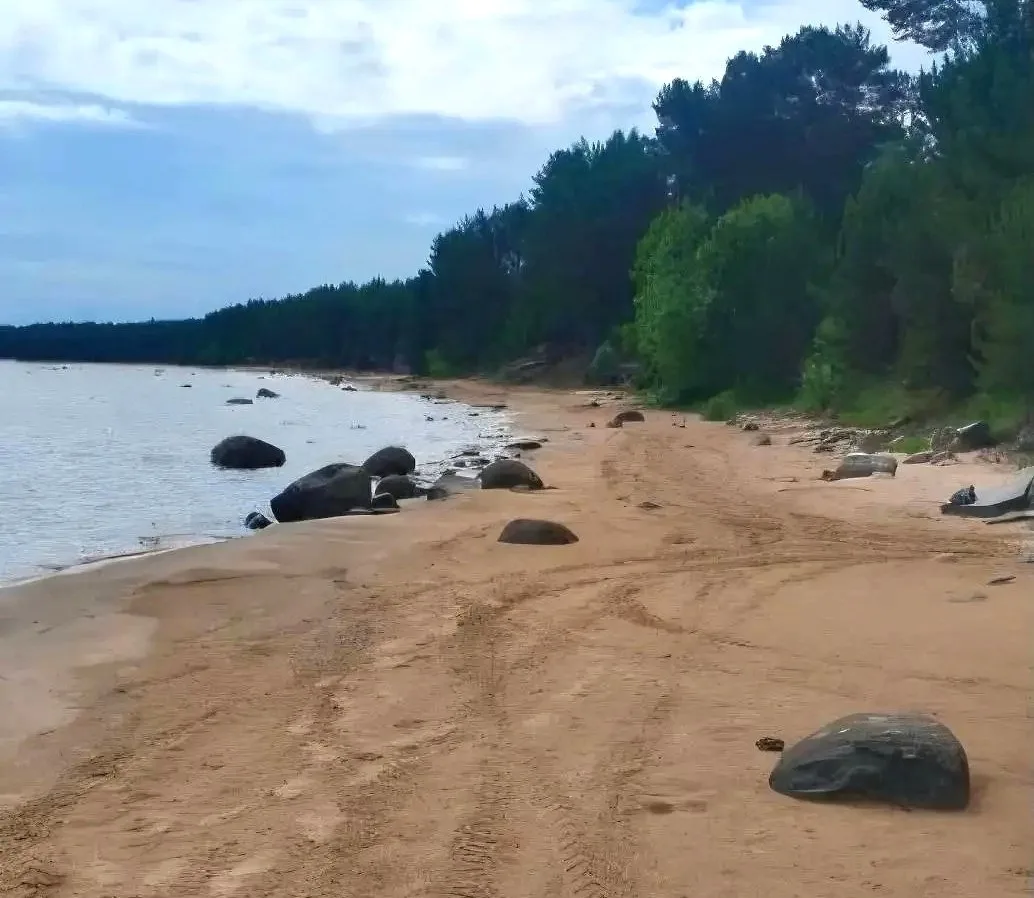 Карелия – постоянный участник Всероссийской акции «Вода России»

Глава Карелии Артур Парфенчиков поб