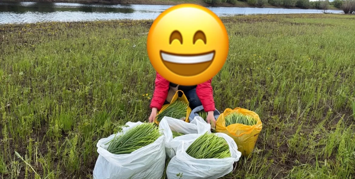Замечательный подписчик @pryanayayakutia: 

Куех хонууга бу ургээбиттэр