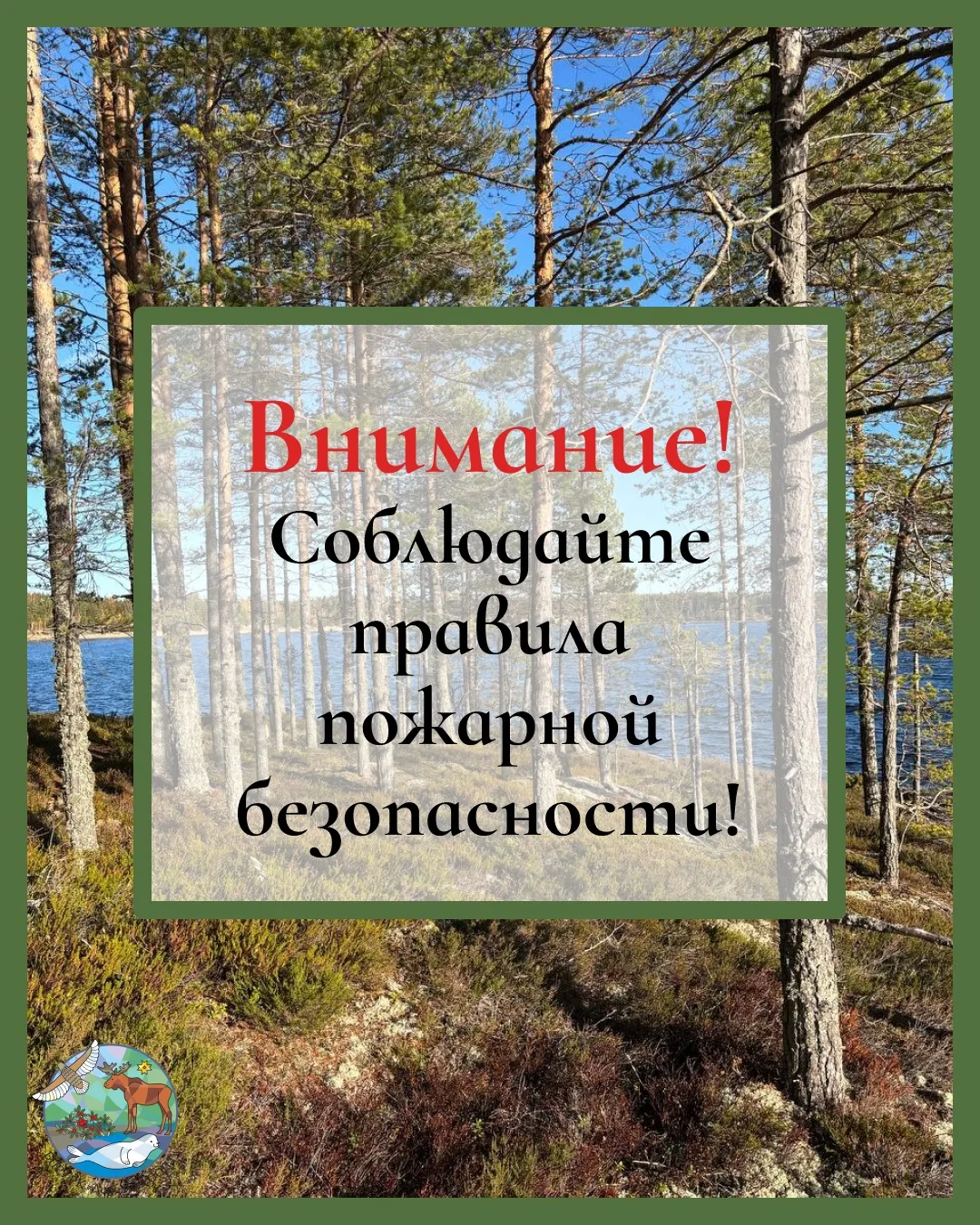 🚨Пожарная безопасность🚨