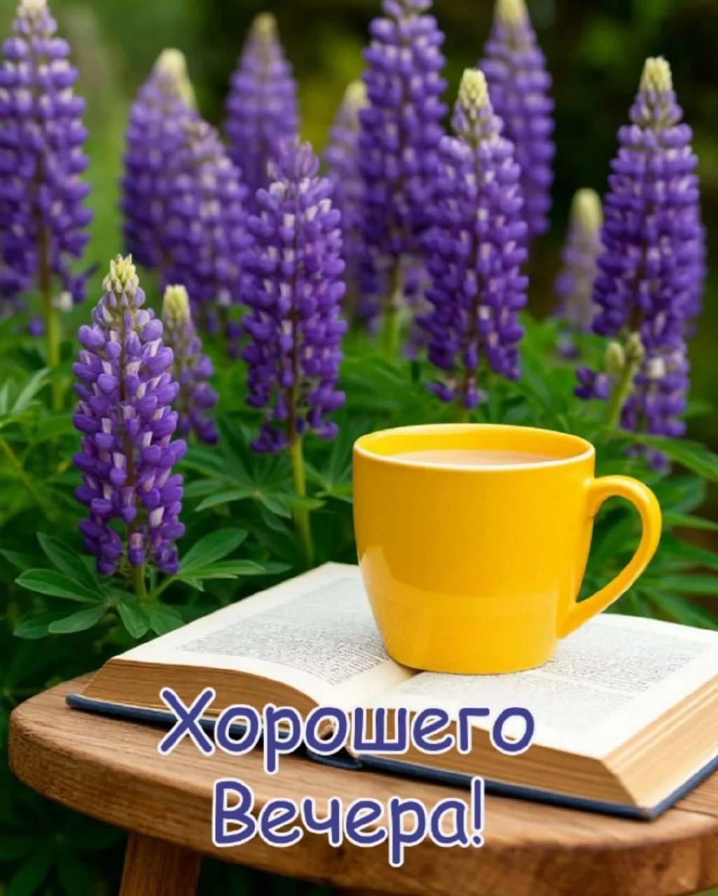 ✨#добрый_вечер

Красивые открытки 💌
⠀в Max | в Теlegram