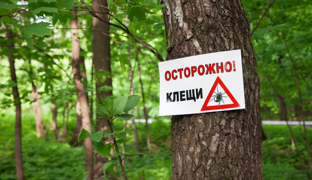 Внимание, клещи!!
