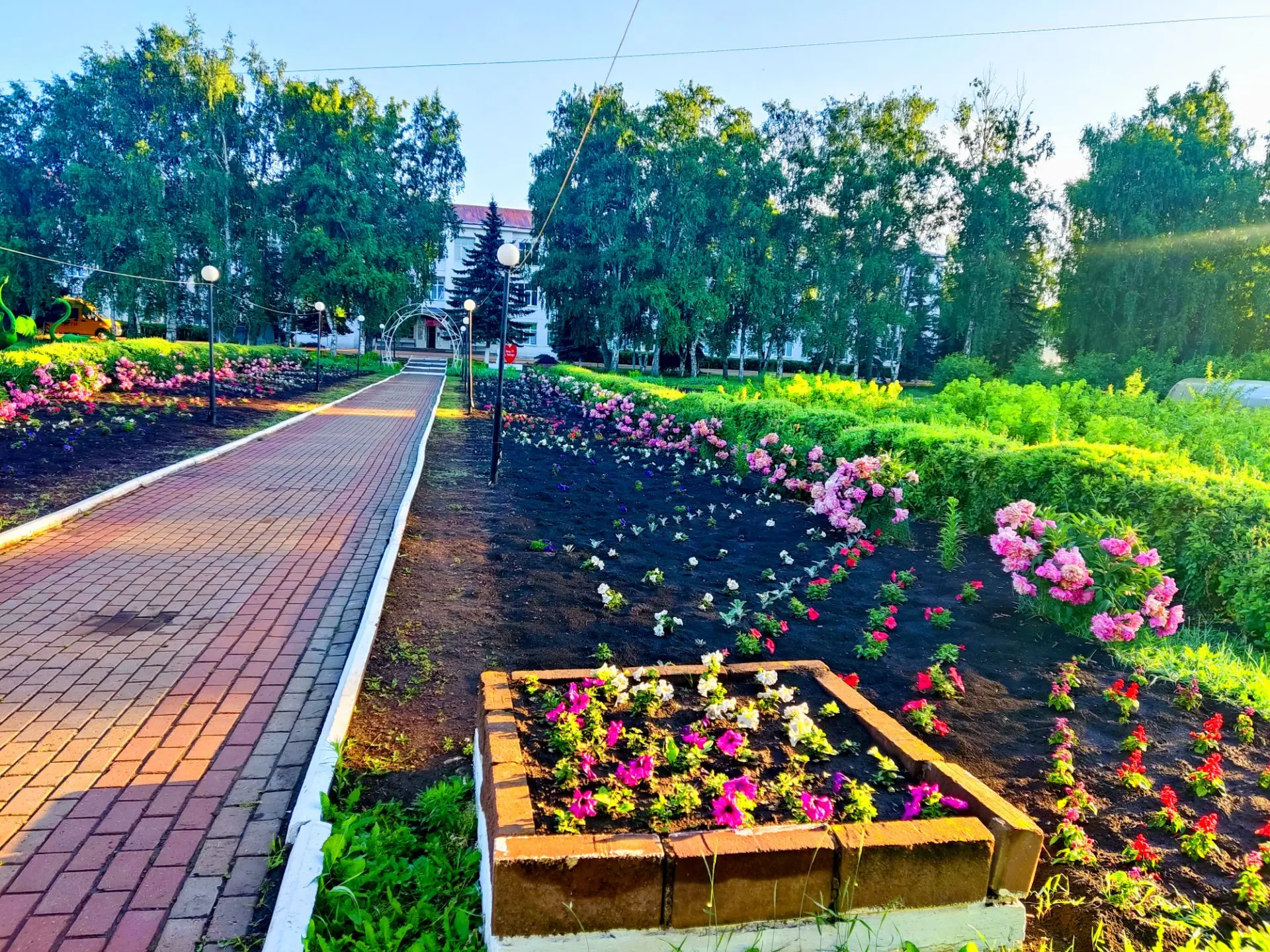 Доброе утро🌹
#мбоусош1сЧекмагуш