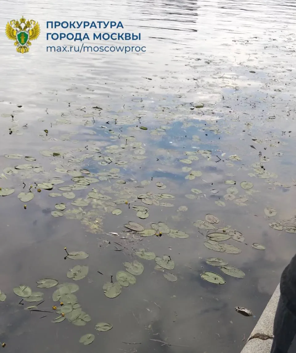 Межрайонная природоохранная прокуратура г. Москвы организовала проверку информации о гибели рыбы в М