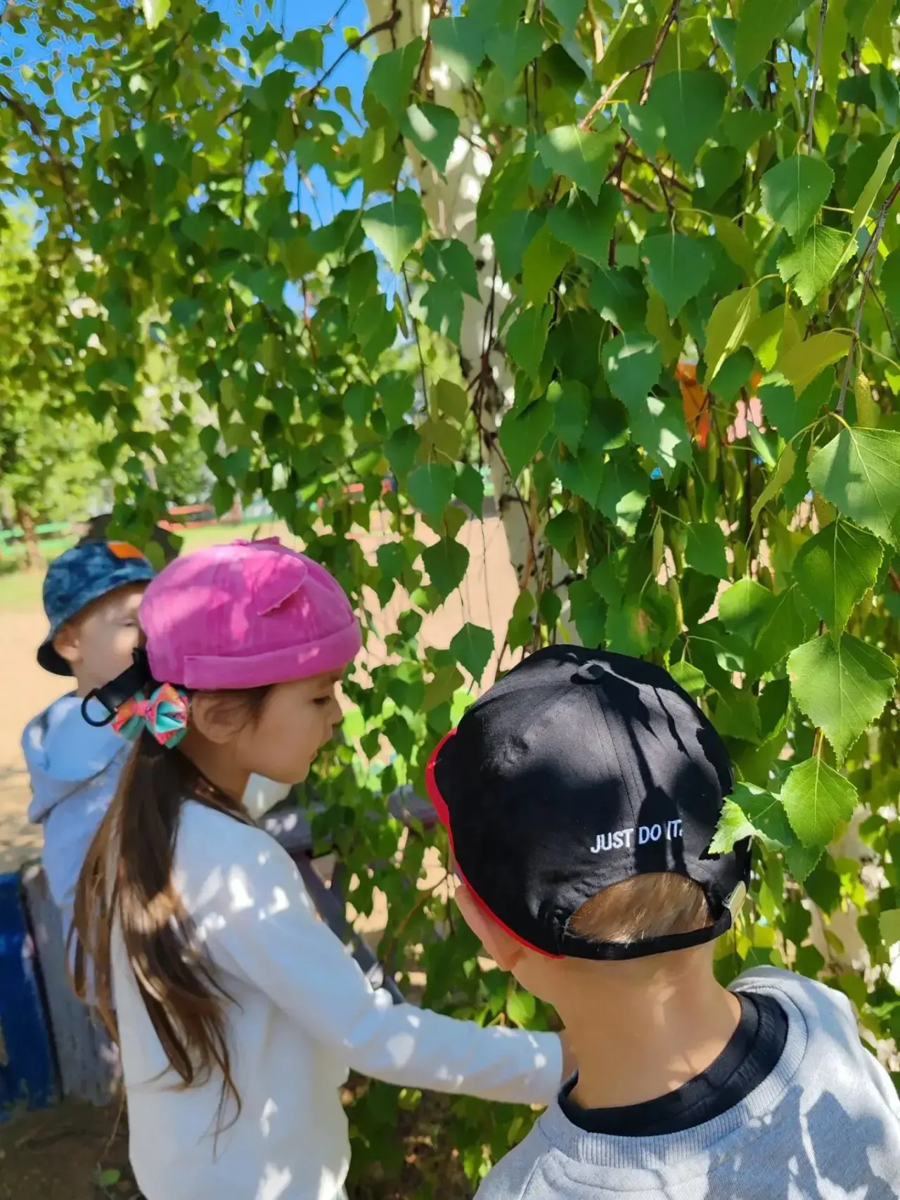 🌱Маленькие открытия большой прогулки