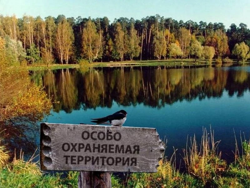 До конца 2026 года будет утверждена Стратегия развития особо охраняемых природных территорий (ООПТ)
