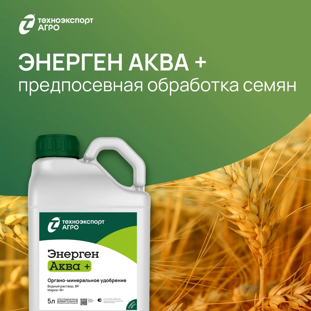 🟢 Обработка семян органоминеральным удобрением Энерген Аква+, ВР — это инвестиция в мо...