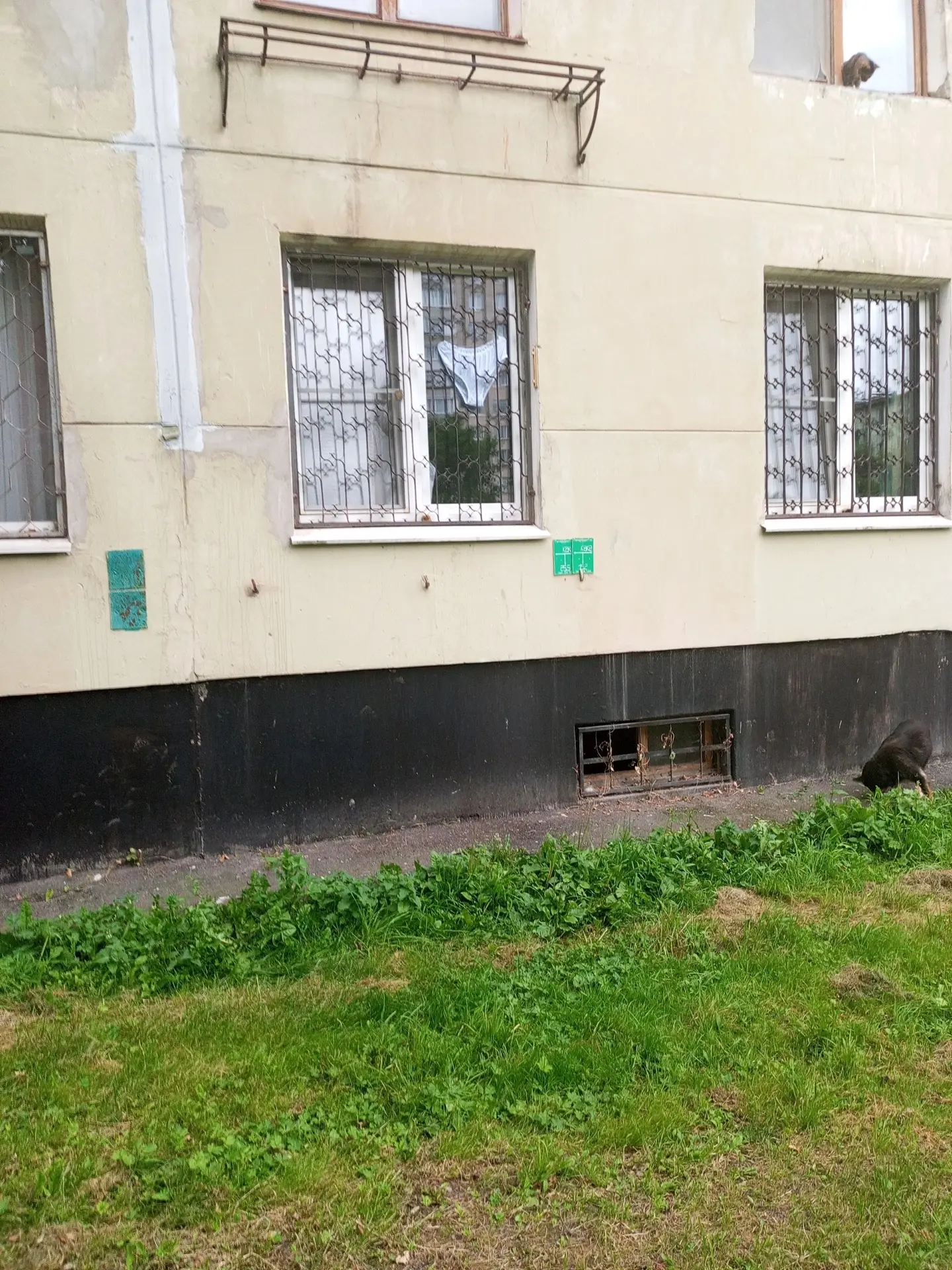 Приколы нашего района)
Вчера другие висели…

Еще кот сверху пытается что-то донести до кота снизу)