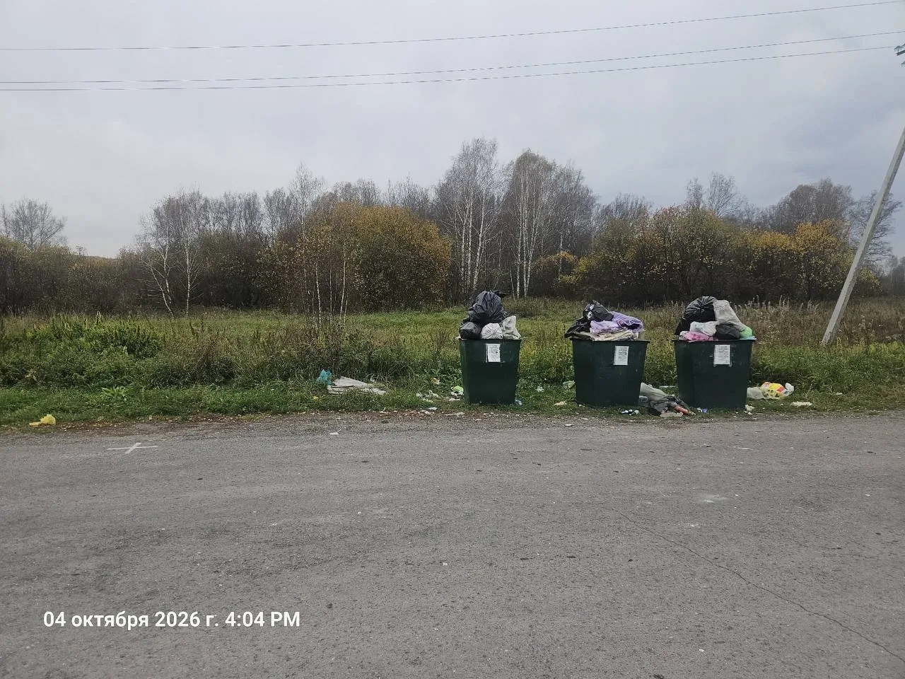 В Подонино жители пожаловались на срыв вывоза мусора