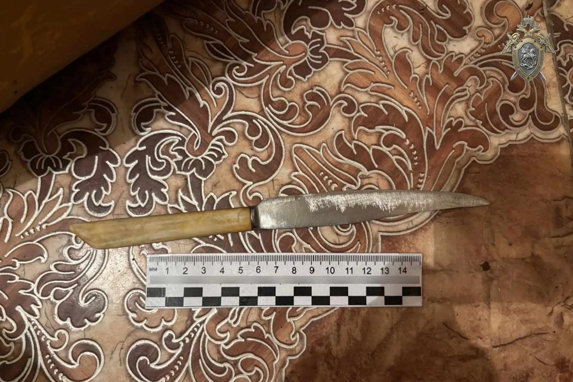 В Благовещенске в суд направлено уголовное дело для применения принудительных мер медицинского харак