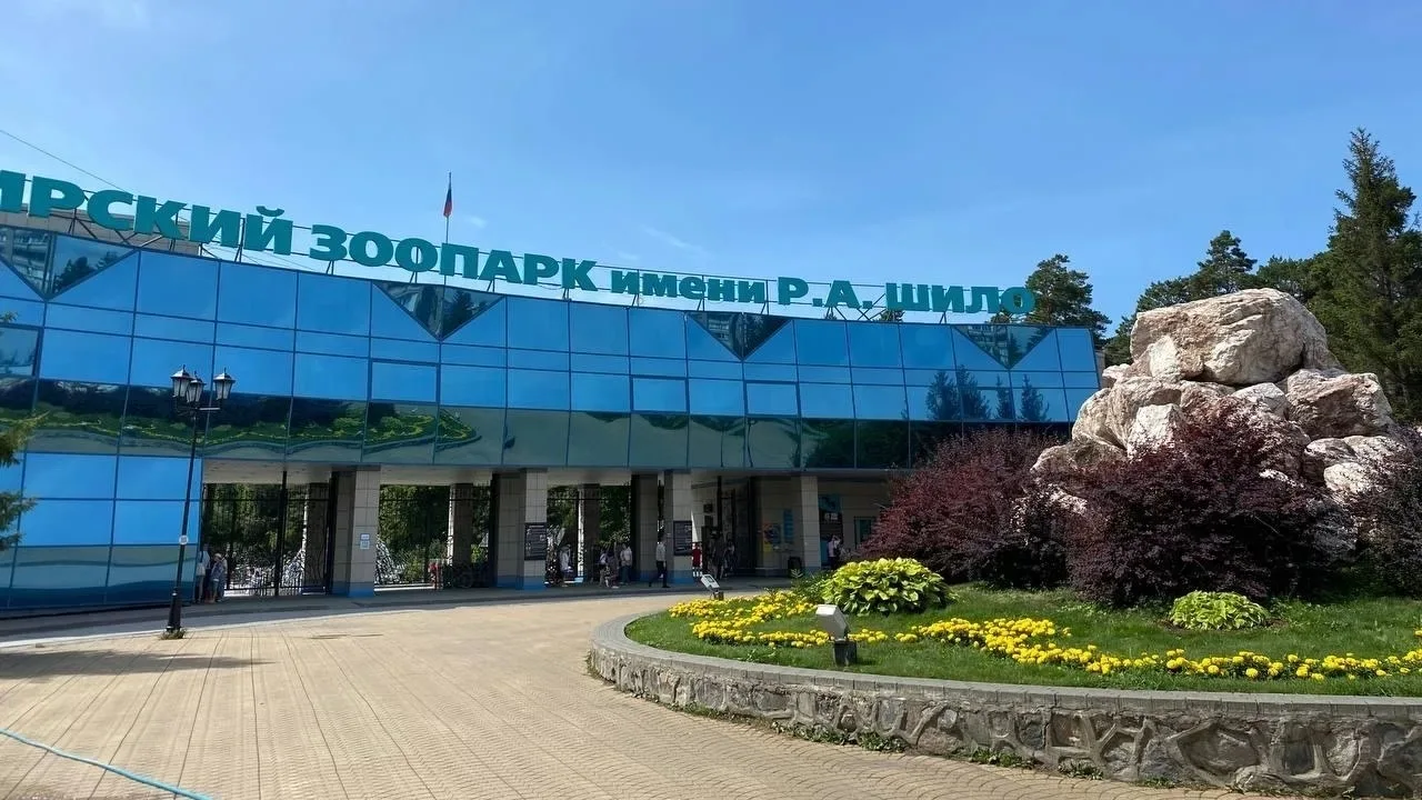 1 июня детей пустят в Новосибирский зоопарк БЕСПЛАТНО