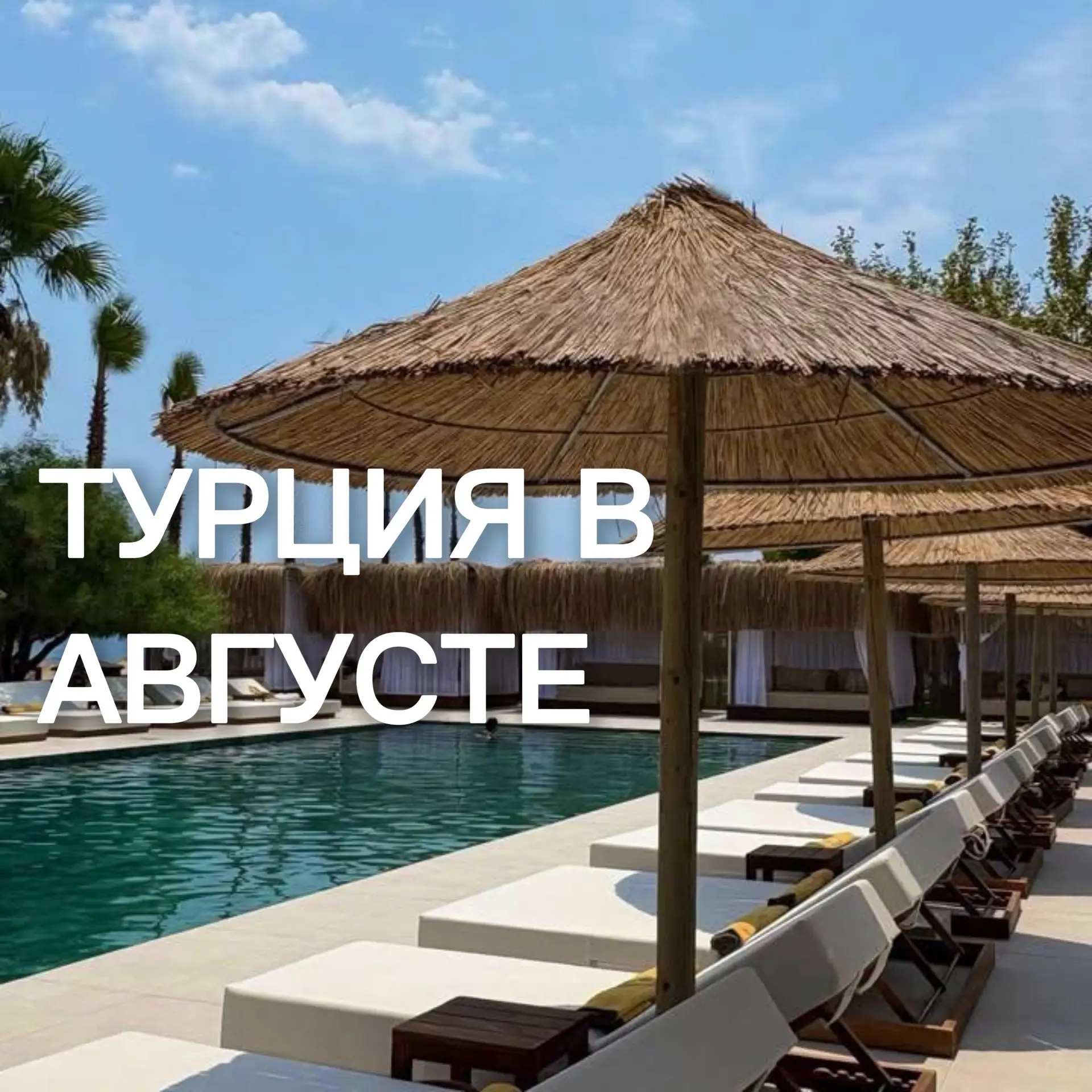 🤩Из этого недорогого отеля в Турции возвращаются довольными, поэтому я могу смело его ...