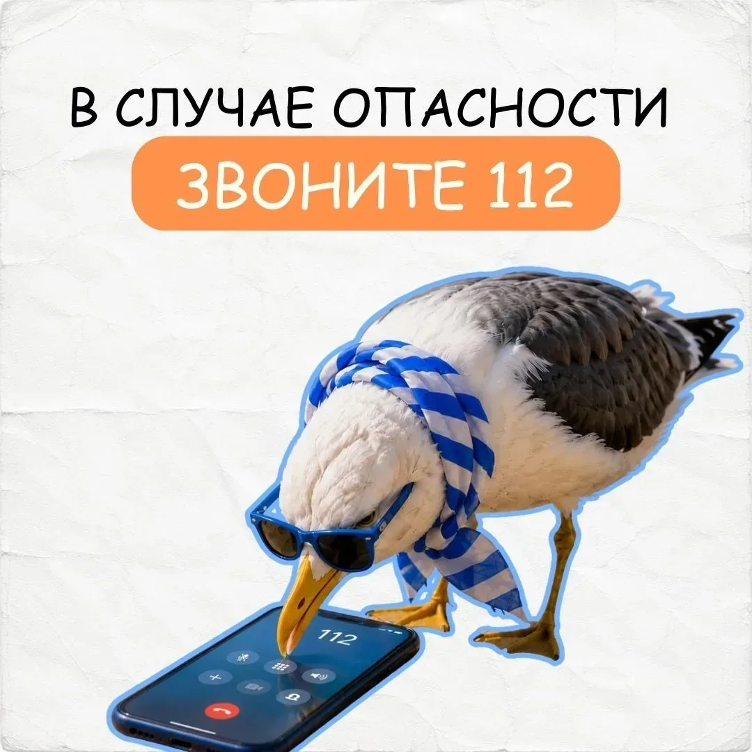 На старт, внимание, пляж! 🌊