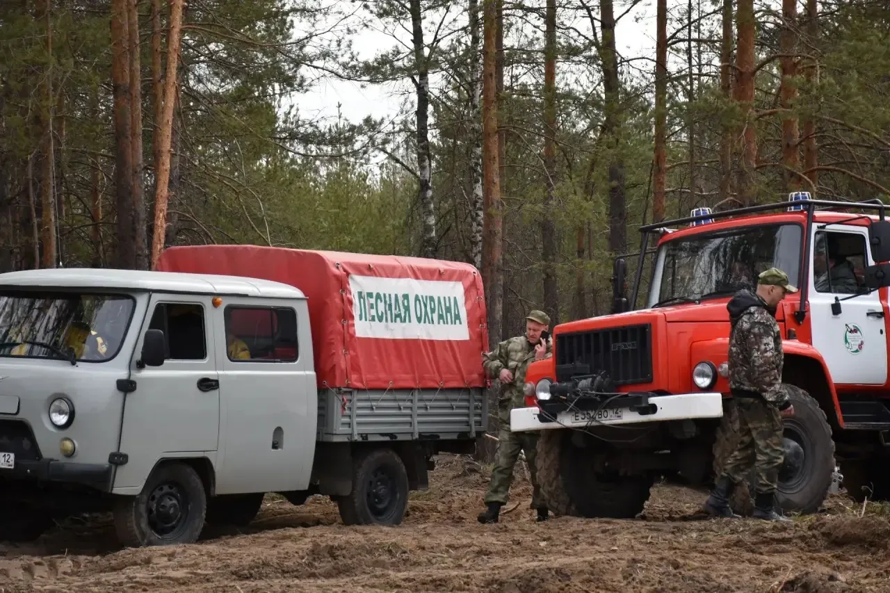В Республике Марий Эл продолжают закупать технику  для тушения лесных пожаров по нацпро...