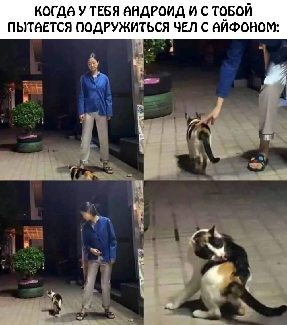 Пока я вам эту ржомбу делал у меня созрел вопрос:

🔥 — Я на андроиде 
❤️ — Яблочник 

ШВТ в MAX 👈