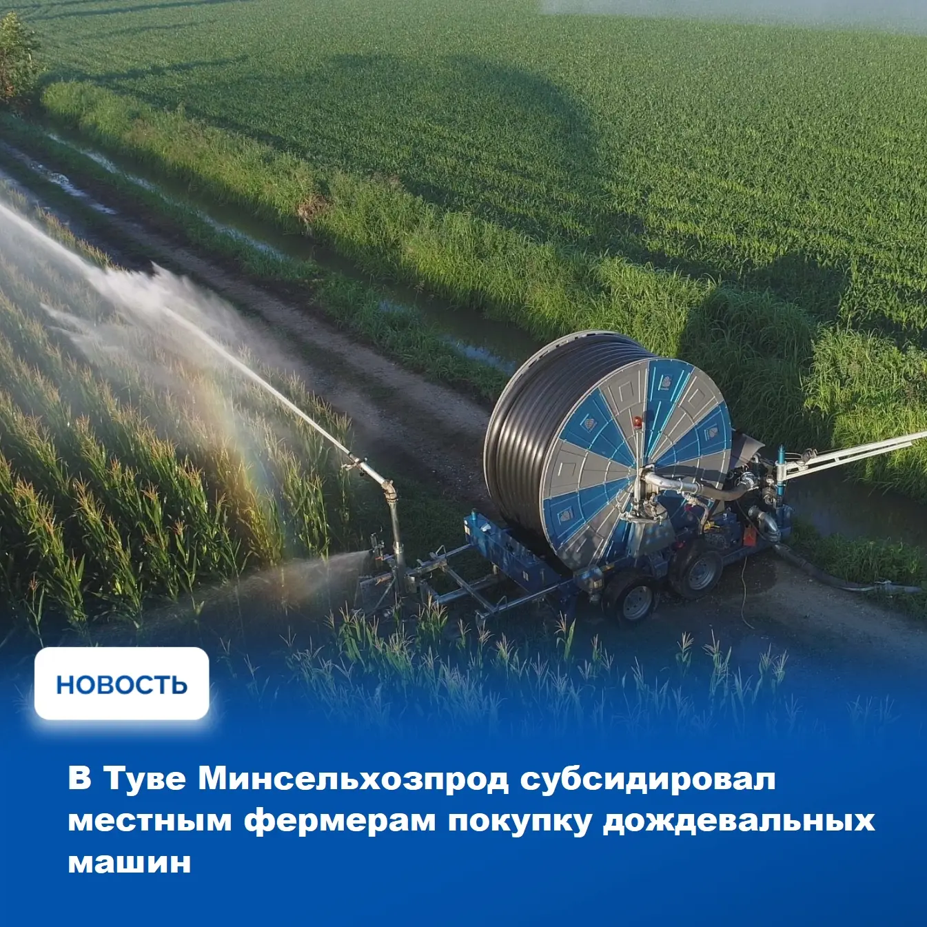 🌾 Министерство сельского хозяйства и продовольствия Республики Тыва в этом году впервые предоставил