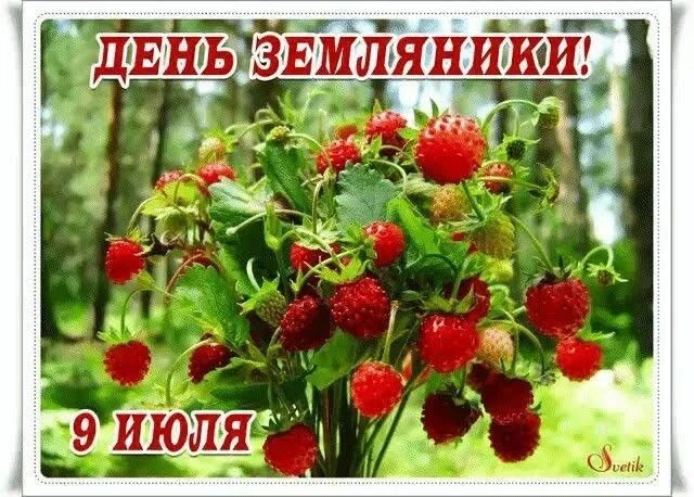 В этот праздник дети группы "Улыбка" нарисовали вкусную и полезную ягоду- землянику!
Воспитатели Орё