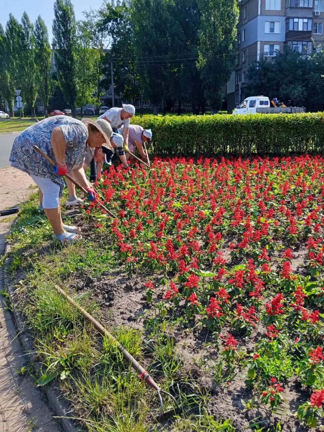 🌳🌷🌲 Делают чистым и уютным наш цветущий Железногорск