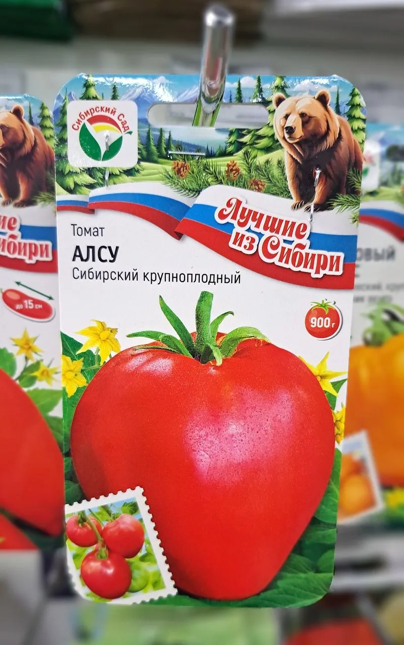 Новинки СЕМЯН ТОМАТОВ от агрофирмы "Сибирский Сад" 🍅