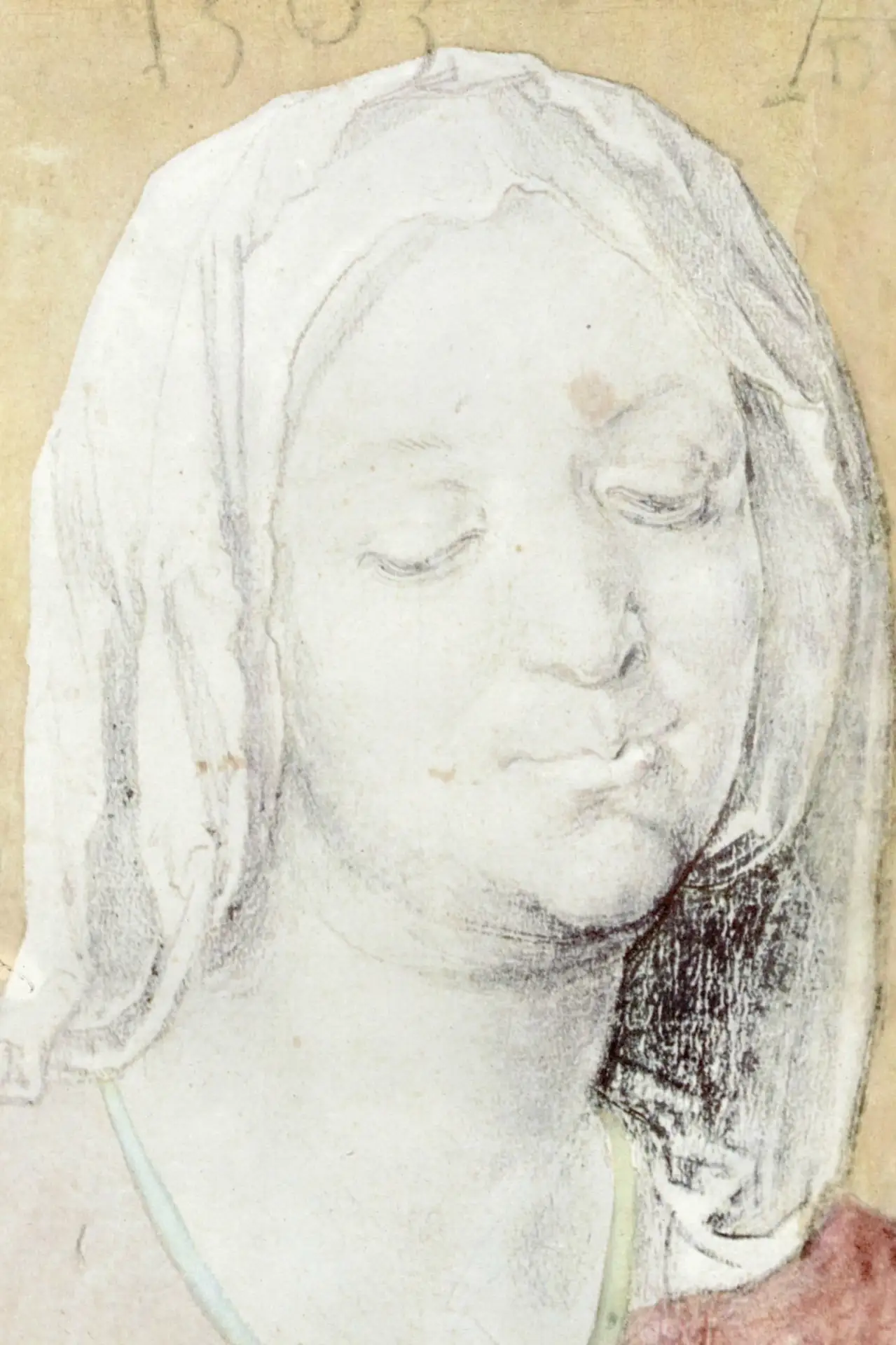 «Голова Девы Марии» (Kopf der Maria), 1503 г.