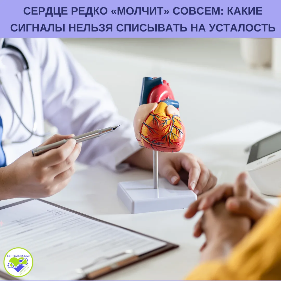 Сердце редко «молчит» совсем: какие сигналы нельзя списывать на усталость