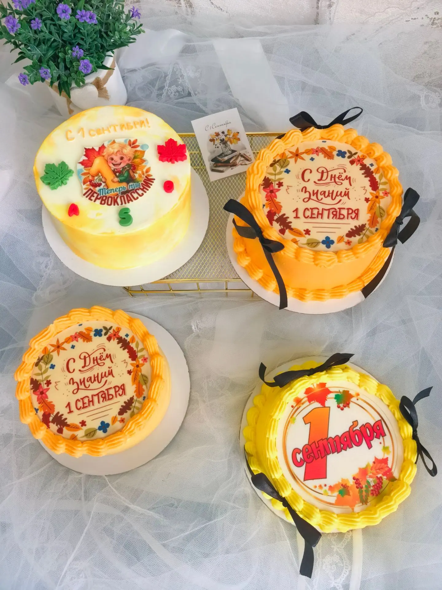 С первым днем осени и с Днём знаний! 🍁🍂🔔