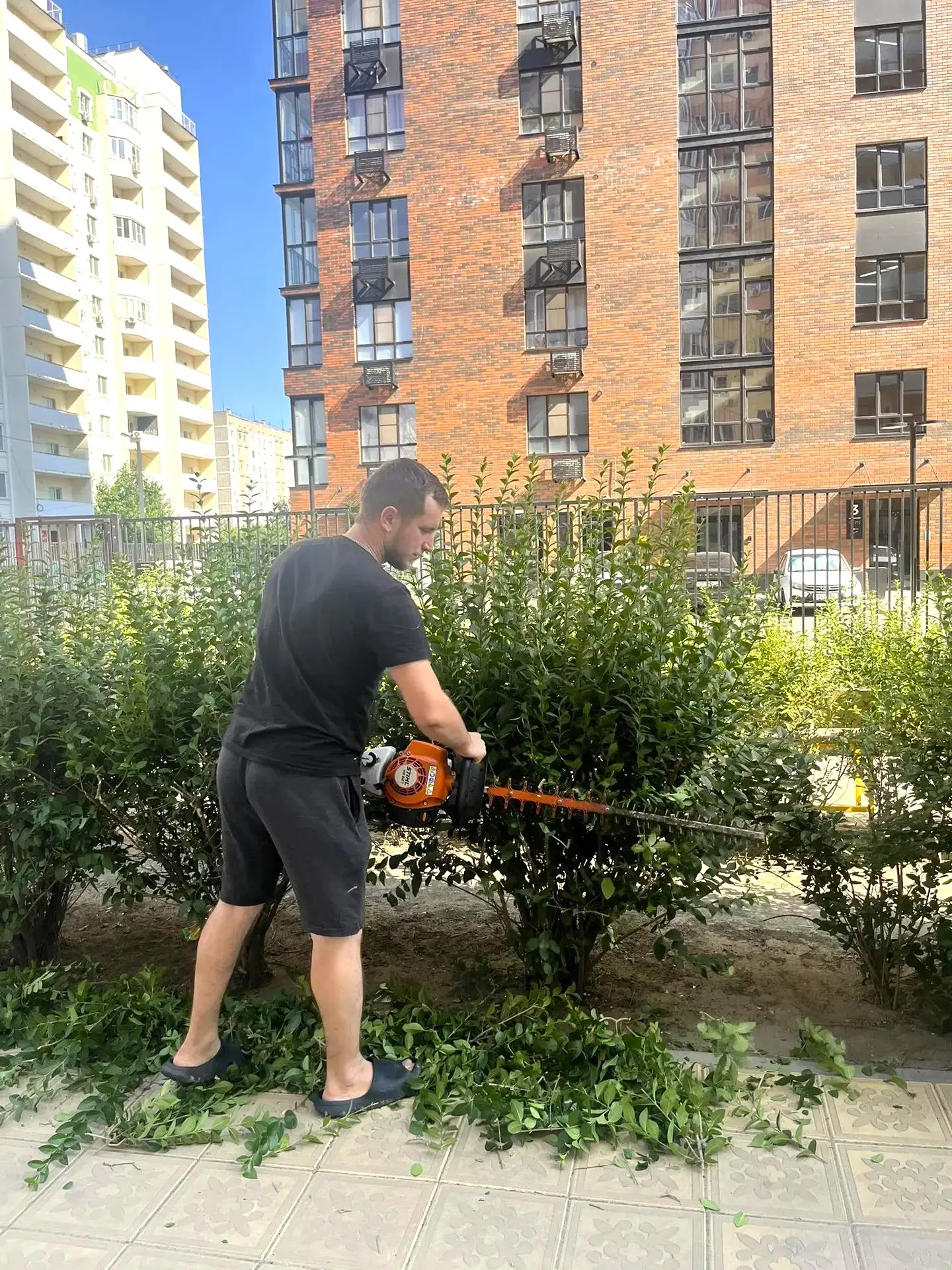 К новости «🌳 Летнее преображение»
