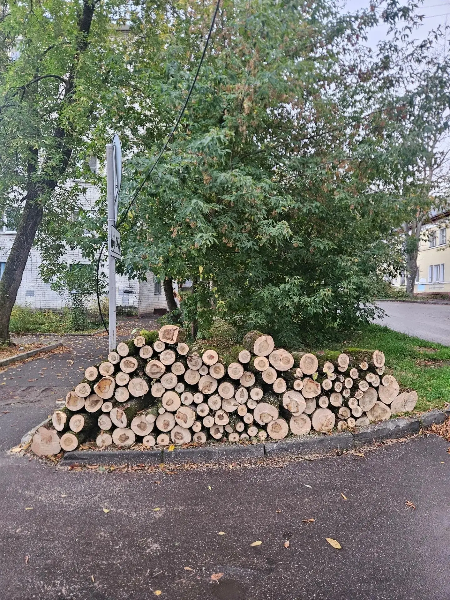 Отдаю даром чурбаки не колотые, на дрова в Калуге, безвозмездно. САМОВЫВОЗОМ. Напилены ...