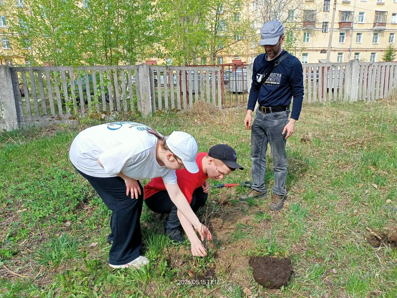 🌱✨15 мая обучающиеся 7В класса под руководством учителя биологии Летошниковой Ольги Аркадьевны прин