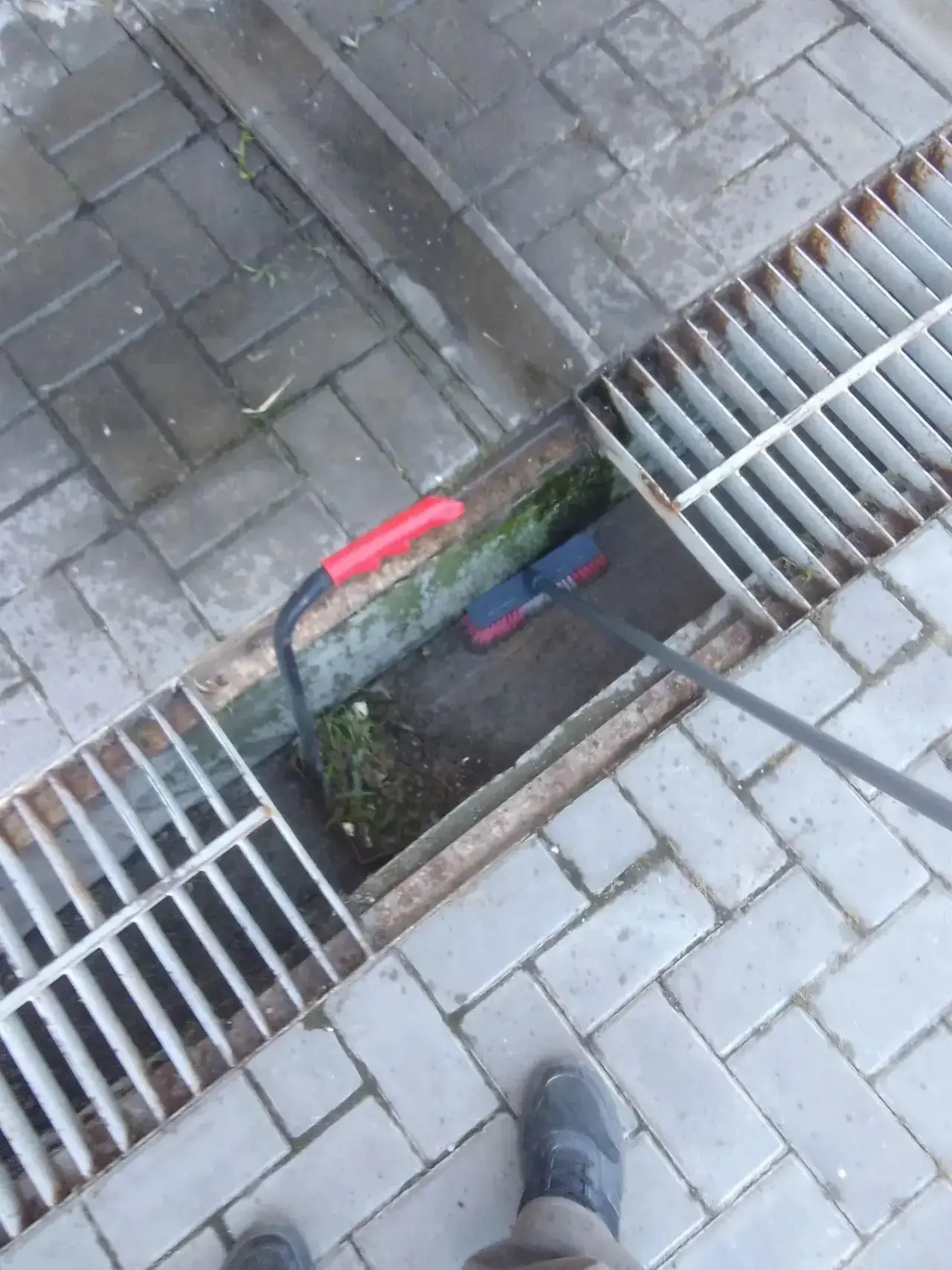 🌱💧Очистили ливневую канализацию от проросших сорняков и мусора по адресу улица Шевчен...
