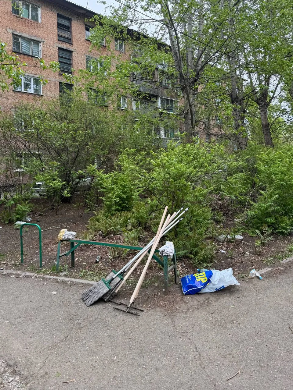 Субботник на Быковского, 3: вместе с активными жителями дома навели порядок.