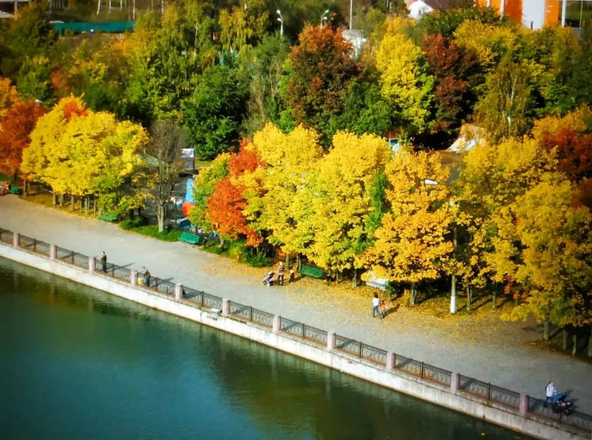 Подборка фотографий Городского озера до его реконструкции