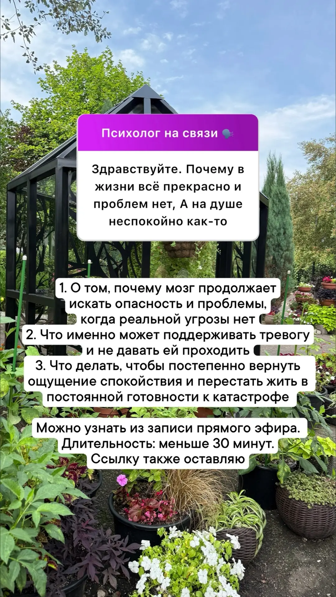 Разбор ваших анонимных вопросов💛