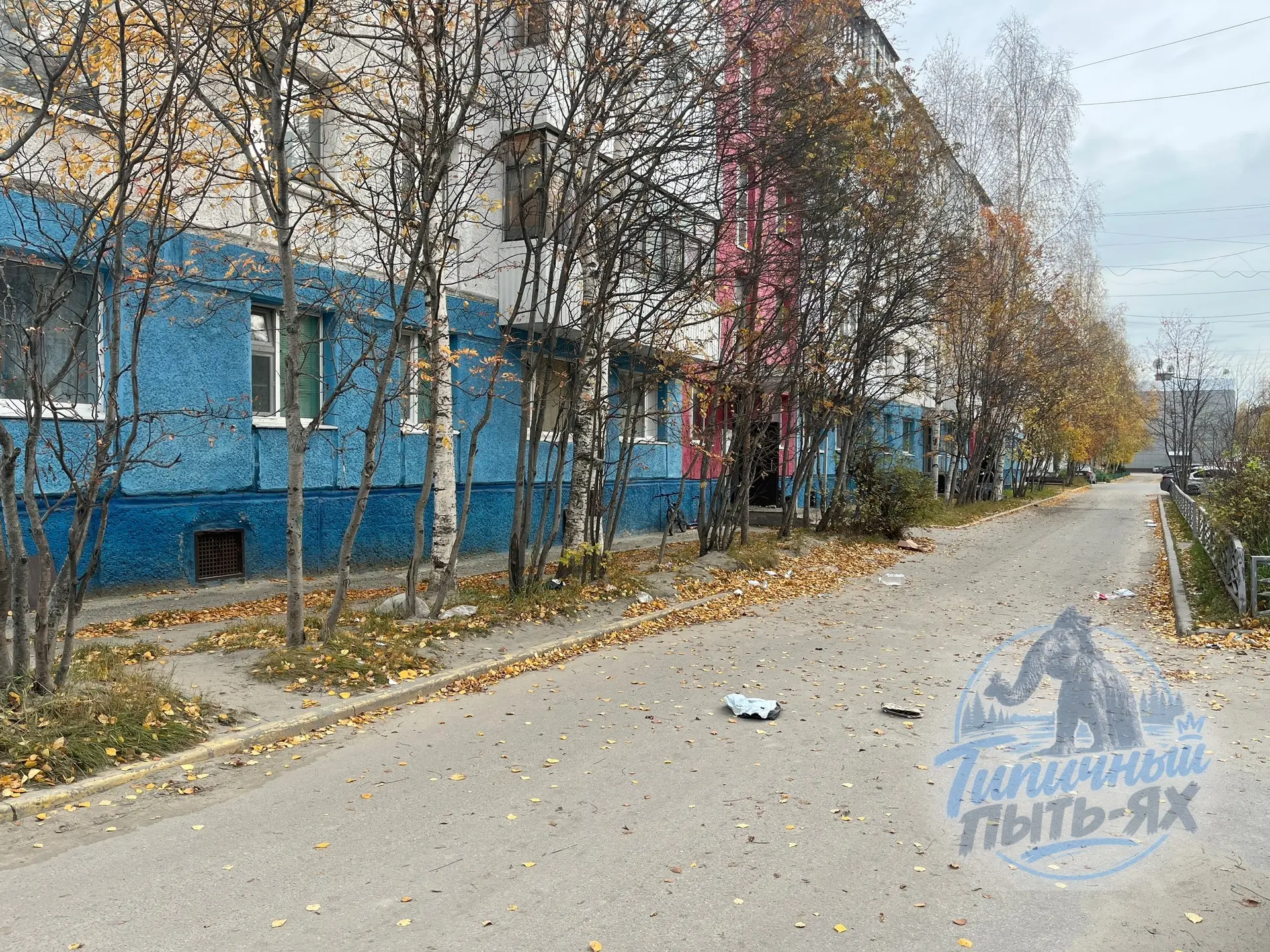 📍 Пыть-Ях, 1–12.