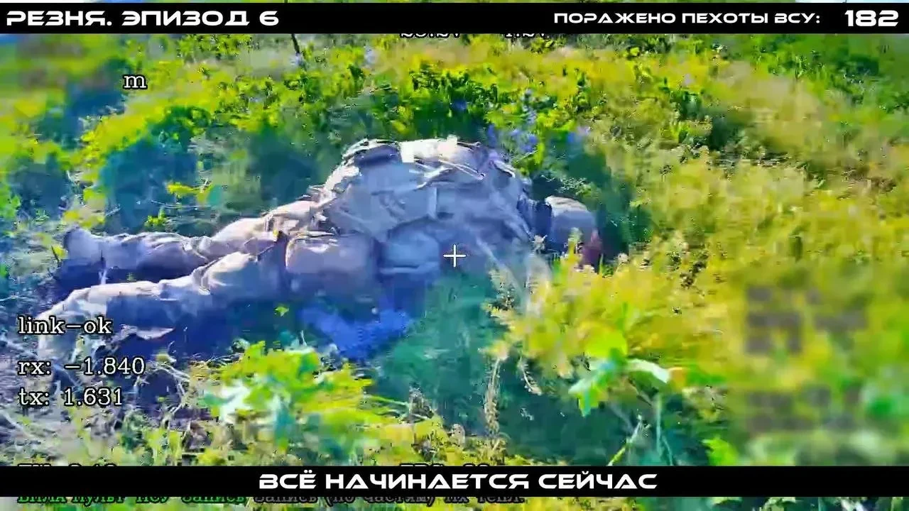 Изображение 5 к публикации «Военный Осведомитель»