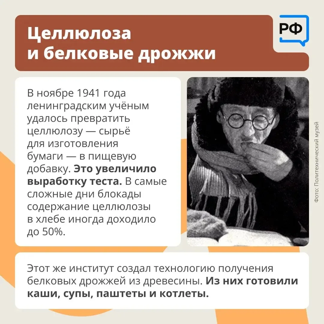 Прогибограф, хлеб с целлюлозой, технология размагничивания мин — разработки ленинградских учёных в г