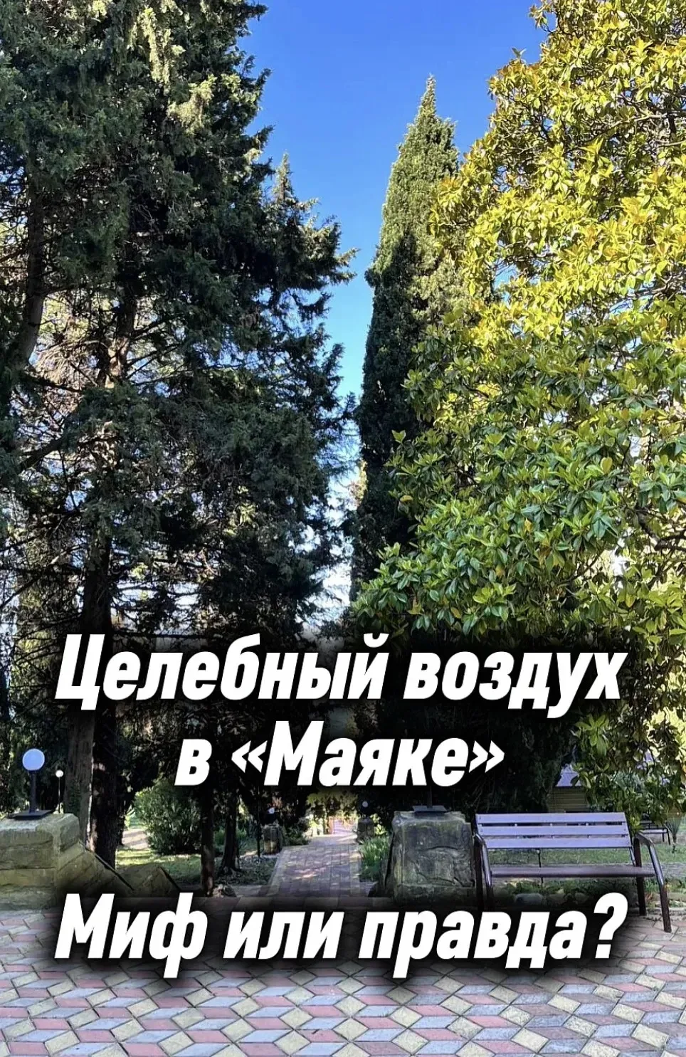 🌳Целебный воздух в «Маяке» — правда или миф?

⚡️В «Маяке» это не миф, а то, что отмечают многие наш