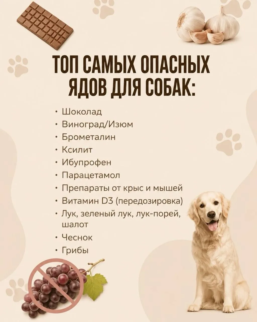 Владельцам домашних животных посвящается.