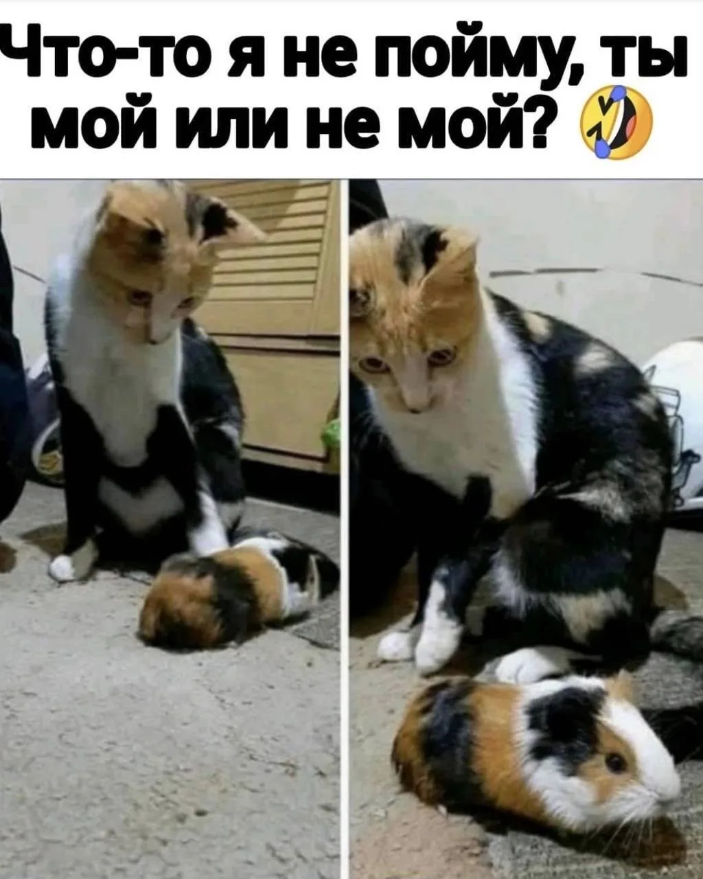 Юмор - Подписаться
