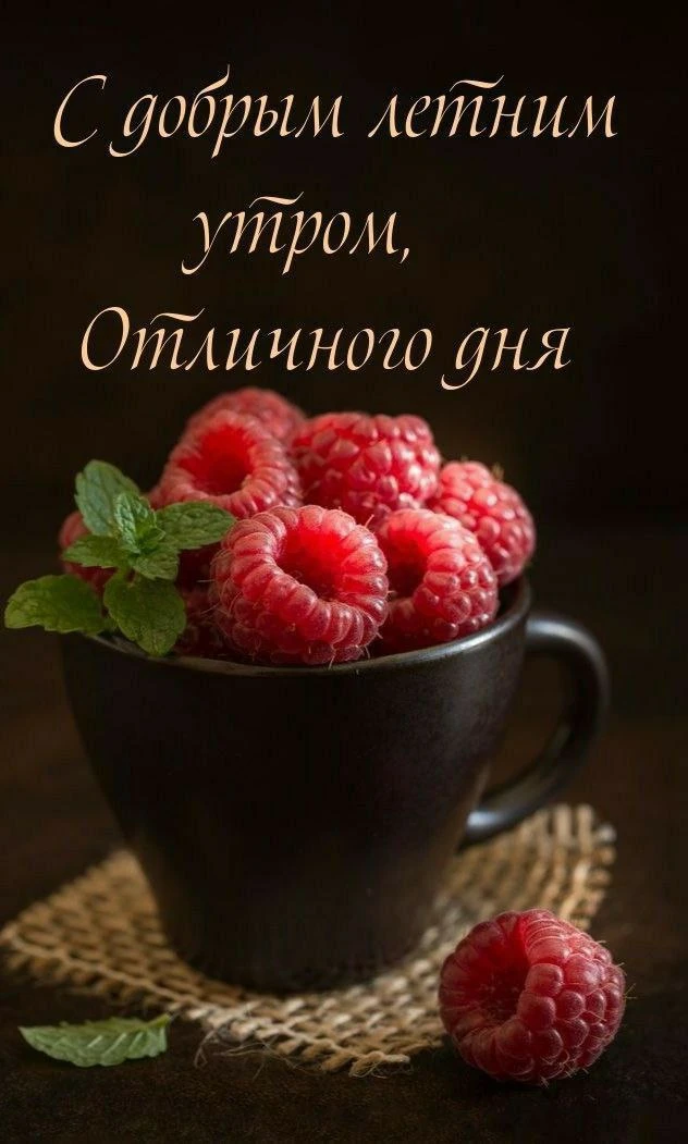 Доброе утро! 🌷

Открытки в MAX ️💌Подписаться