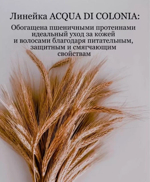 ✨ Секрет спа-настроения теперь доступен каждому! ✨  🥰 Помните тот самый расслабляющий аромат, которы