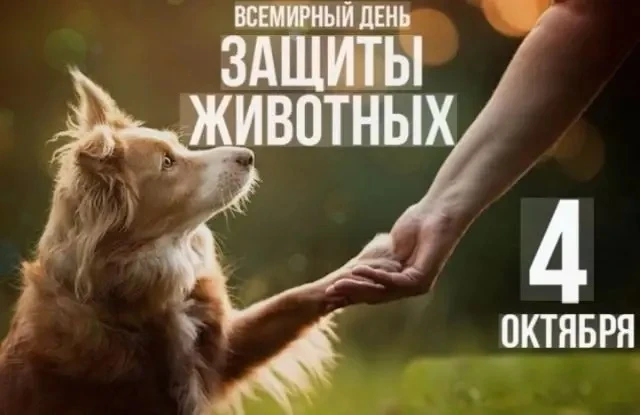 🐾 Доброта начинается с нас: 3Г помогает приюту «Хвостики» 🐶🐱
