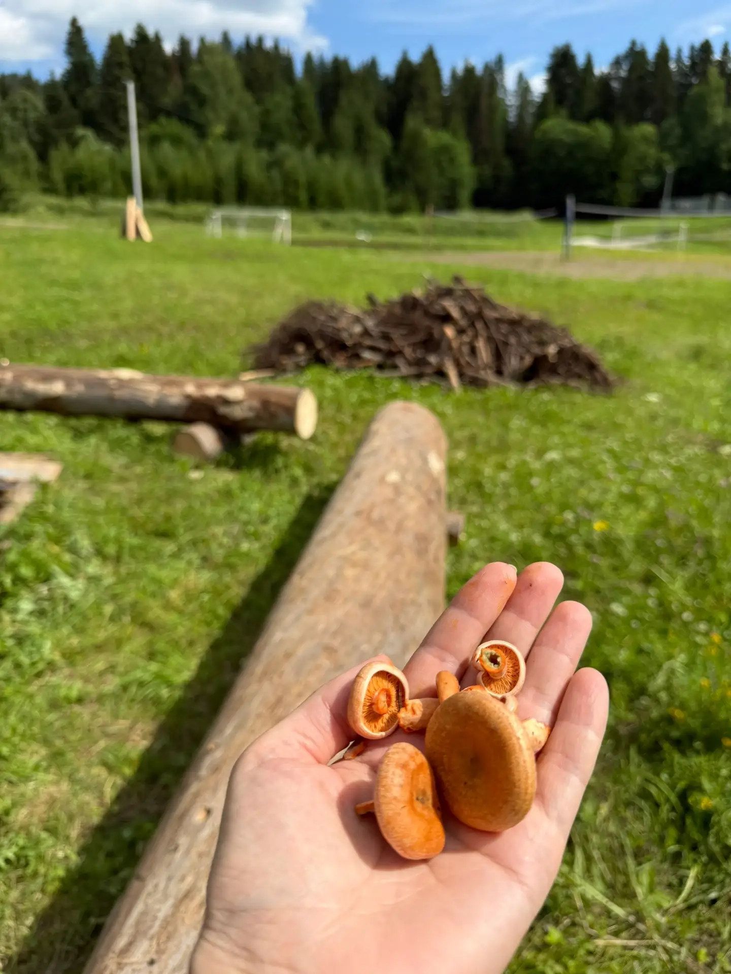 Краснокамск | мкр.Закамск | Пермь🏡
