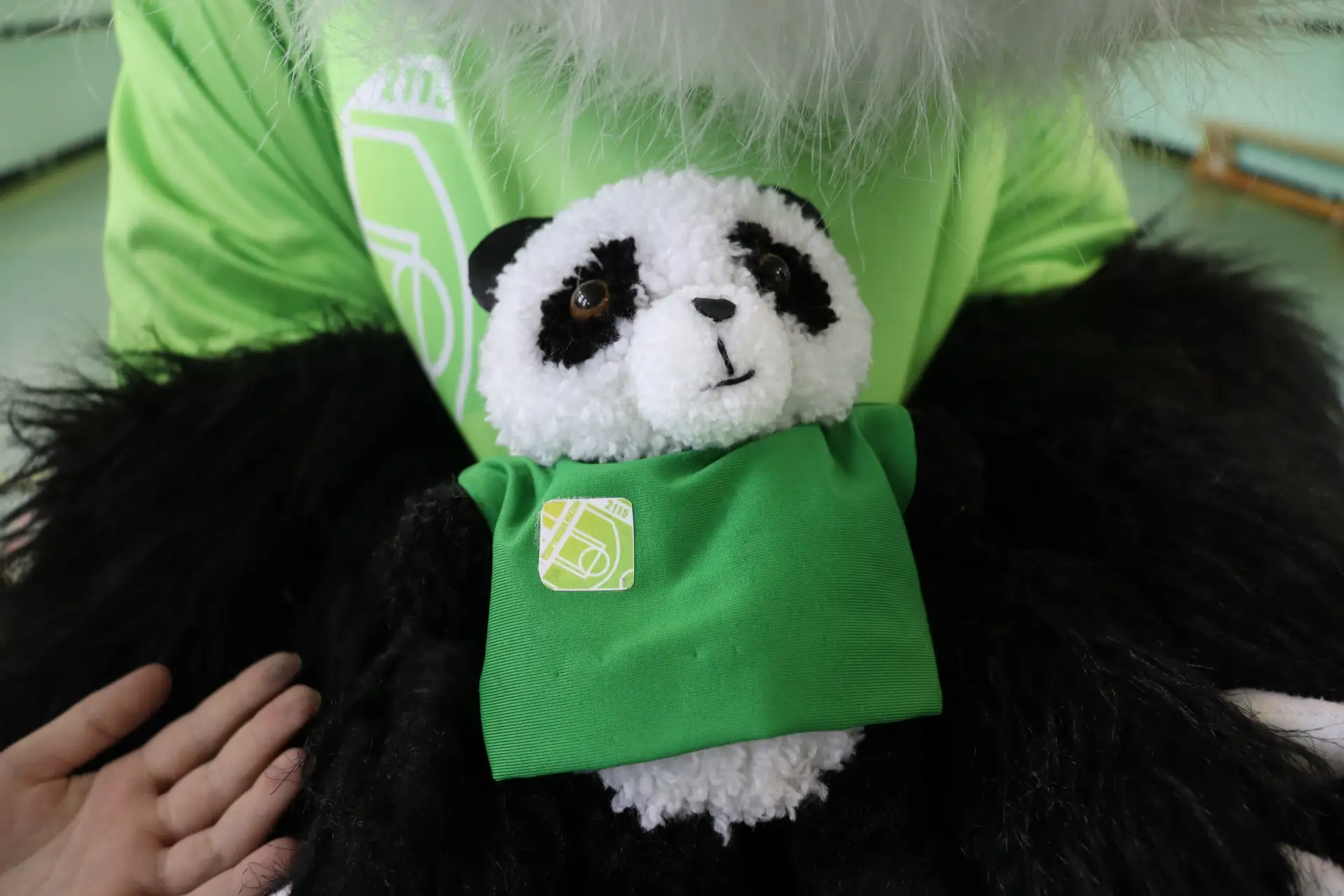 Маленькая панда — большое очарование! 🐼💚  🏆 Мы участвуем в конкурсе «Мини-маскот» спортивного клуба!