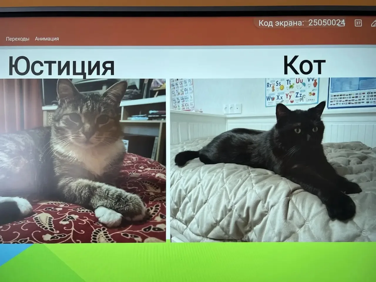 ❤️ Урок доброты в 1 «М» классе: встреча с нашими четвероногими (и не только!) друзьями ❤️   В первом