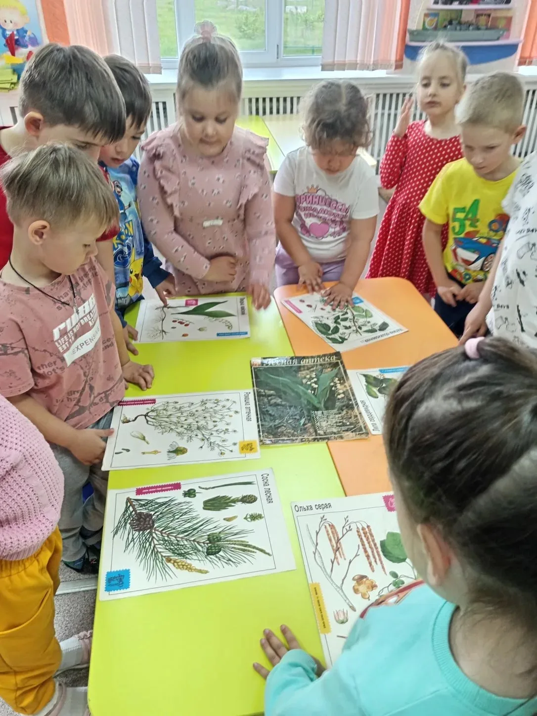 В группе «Чебурашка» прошли беседы о важном на тему «Знакомство с Красной книгой Липецкой области». 