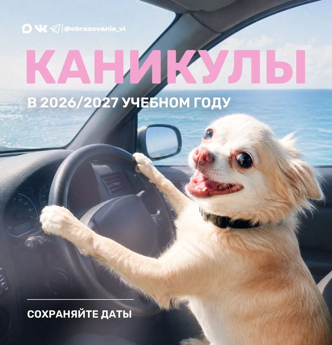 Когда школьники будут отдыхать?