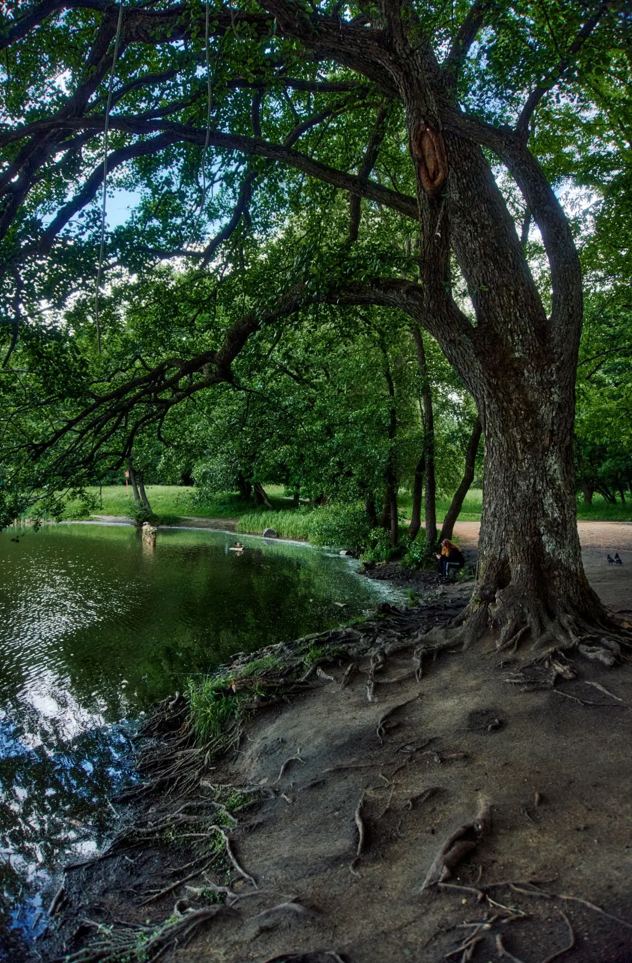 Зелёное чудо в центре Калининграда 🌳🌿

Здесь очень мало туристов, место само по себе не очень раск
