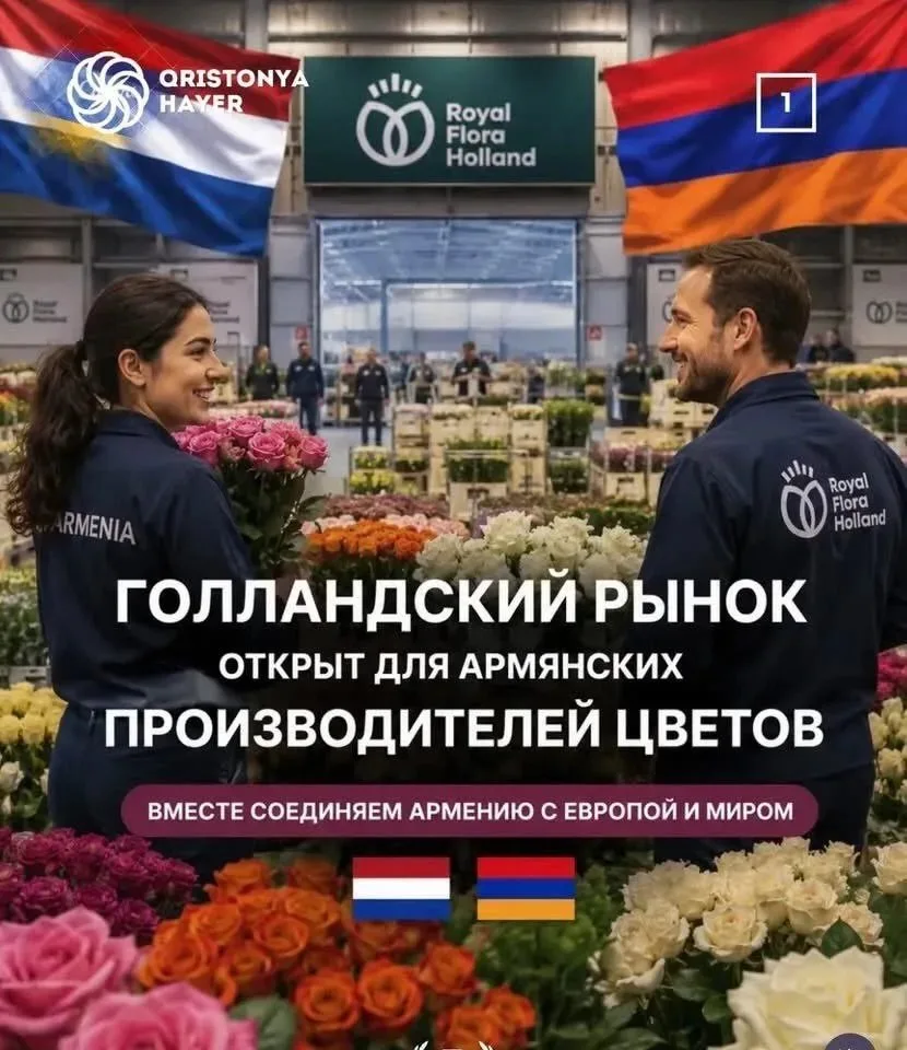 Поговорка про Тулу и самовар получила свою вариацию.
Что мешало раньше торговать с Голландией?

Вано
