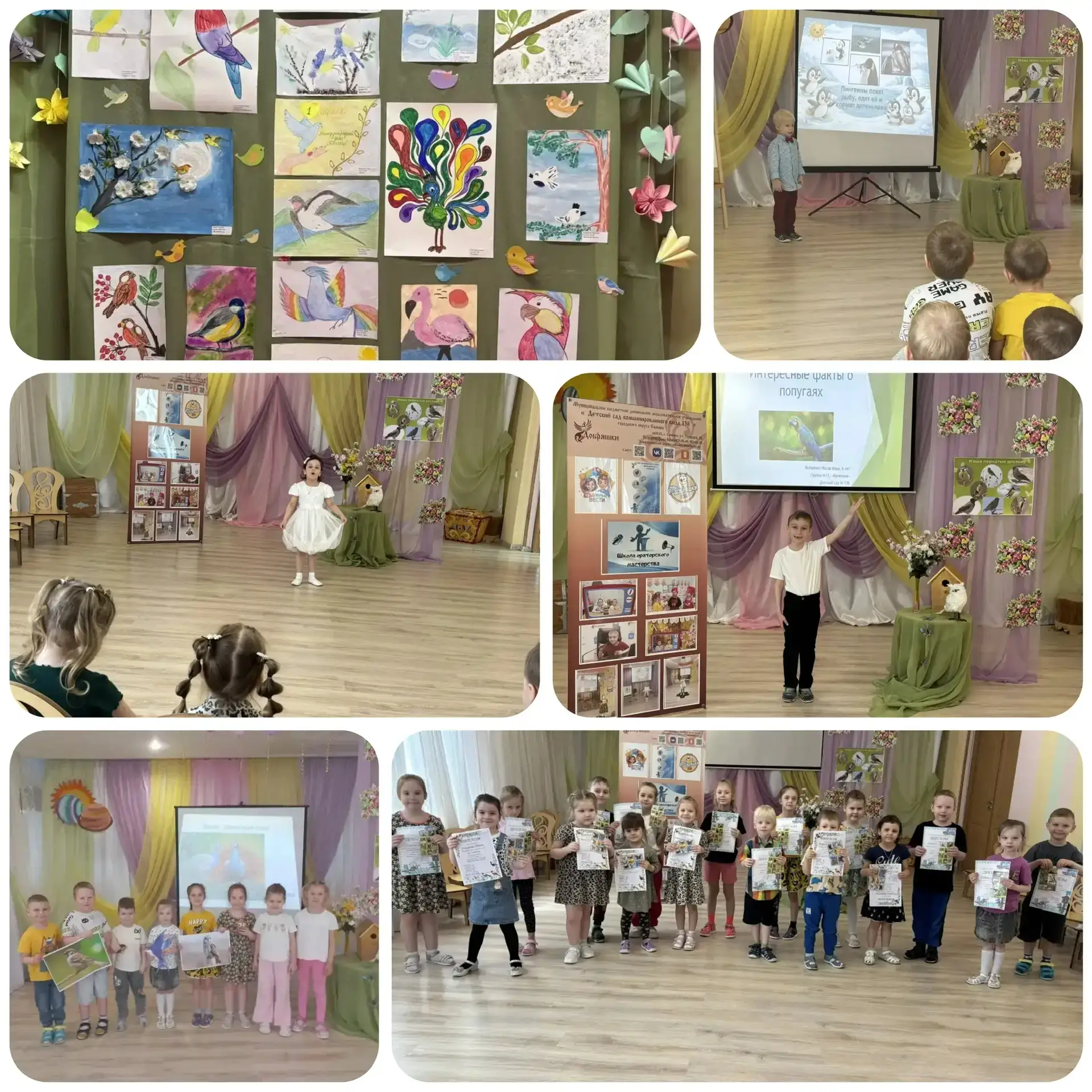 🕊️Птицы являются составной частью природы. Это наши верные помощники, защитники лесов,...