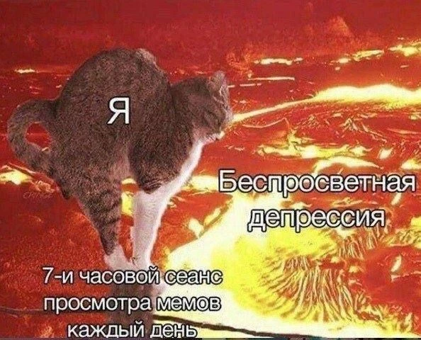 ❗️ЛУЧШИЙ КАТАЛОГ КАНАЛОВ  В MAX ❗️